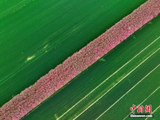 43ɽ|ʡĳЖ|^(q)Z½ֵSͥr(nng)[GĻGl(xing)崺ⰻȻ