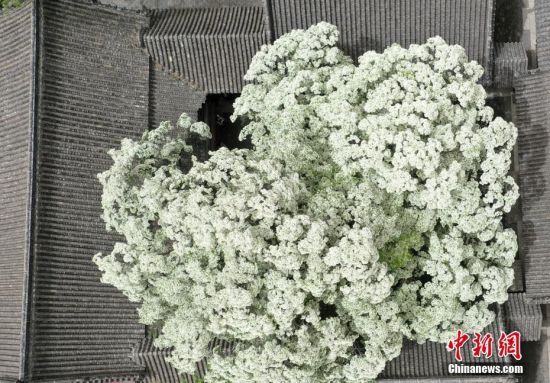 412ɽ|uǧϸnǰߴ(yu)K䷱`ѩ