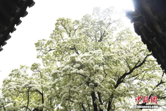 412գɽ|uǧϸnǰߴ(yu)K䷱`ѩ