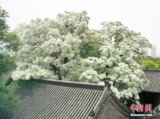 412ɽ|uǧϸnǰߴ(yu)K䷱`ţѩ