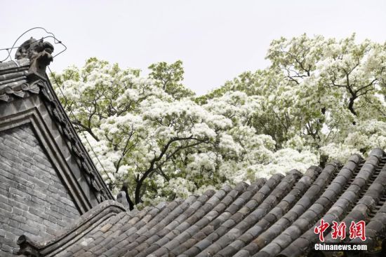 412ɽ|uǧϸnǰߴ(yu)K䷱`ѩ