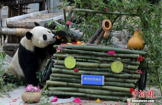 526؈żáյ⡱(dng)գɽ|(j)τ@؈żӭ9ܚq@ˆTĜ(zhn)䡰յ⡱c