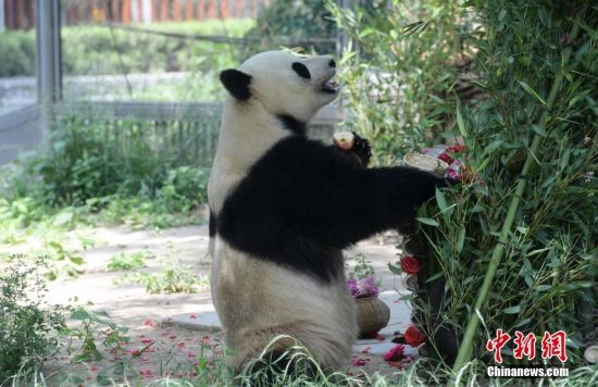 526գ؈żáյ⡱(dng)ɽ|(j)τ@؈żӭ9ܚq@ˆTĜ(zhn)䡰յ⡱c