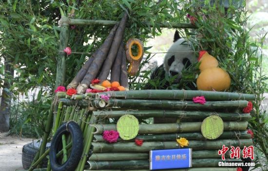 526؈żáյ⡱(dng)ɽ|(j)τ@؈żӭ9ܚqգ@ˆTĜ(zhn)䡰յ⡱c