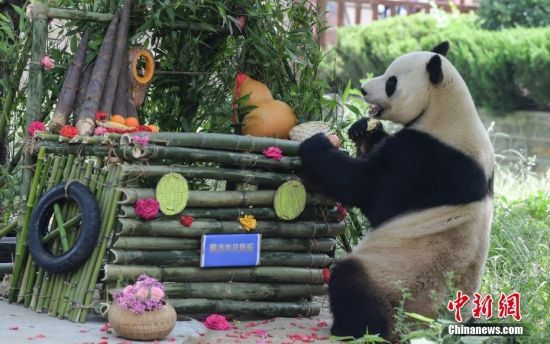 526؈żáյ⡱(dng)ɽ|(j)τ@؈żӭ9ܚqգ@ˆTĜ(zhn)䡰յ⡱c