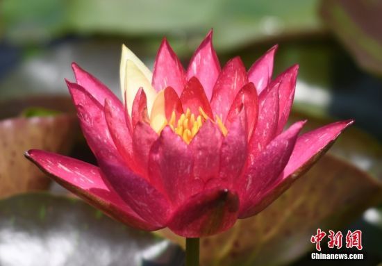 529㽭侹ųzַ@̎ˮpɫ˯ɏ`G֮B(ti)