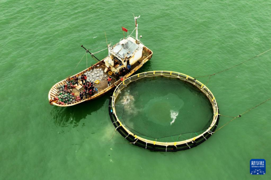 526ʢ¡ˮa(chn)B(yng)ֳ޹˾OڽoW(wng)(ni)B(yng)ֳ~Ͷιʳo˙CƬ