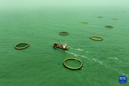  526գʢ¡ˮa(chn)B(yng)ֳ޹˾B(yng)ֳڸW(wng)gͶιB(yng)ֳ~o˙CƬ