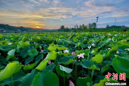 ʢ_ĺɻʬF(xin)ļȺ z