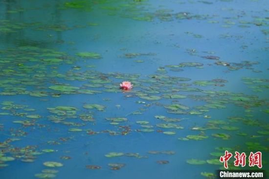 ʢ_ĺɻʬF(xin)ļȺ z