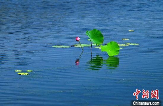 ʢ_ĺɻʬF(xin)ļȺ z