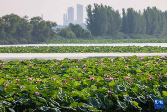 79ƺҝع@(ni)ɻʢ_(o˙CƬ)