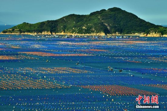 DBhJ800๫U~B(yng)ֳһ(g)(g)t{(ln)gĸľB(yng)ֳU~