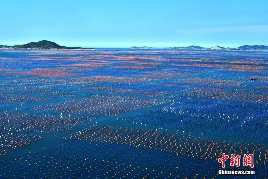 DBhJ800๫U~B(yng)ֳһ(g)(g)t{(ln)gĸľB(yng)ֳU~