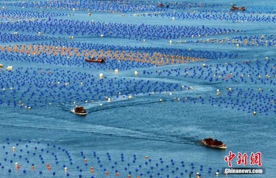 DBhJ800๫U~B(yng)ֳһ(g)(g)t{(ln)gĸľB(yng)ֳU~