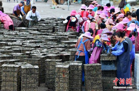 711O?c)Bhm(zhn)Ja^æµ