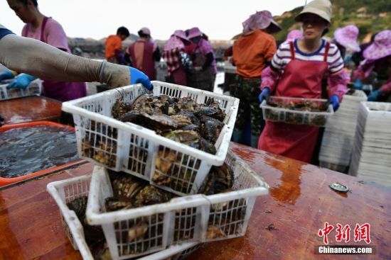 711O?c)Bhm(zhn)Ja^æµ