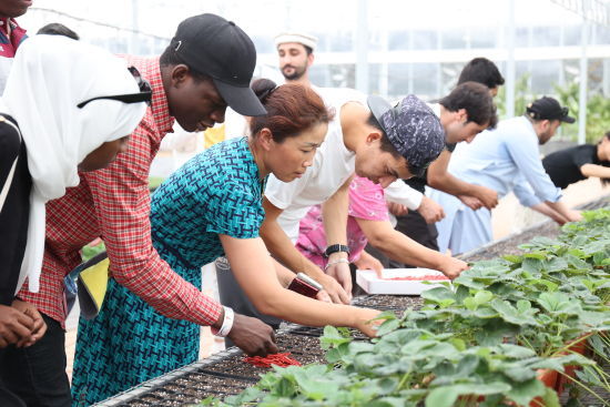 �����W(xu��)����̩�����W(w��ng)�t�塱 �� �����¹���