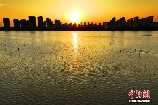 94ɽ|ʡuг(yng)^(q)ֵͤīˮڝȺnϼҒʳϢ