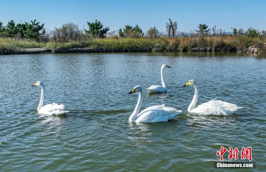 1015գ4ֻZwɽ|sɴZҼȻo^(q)Խ