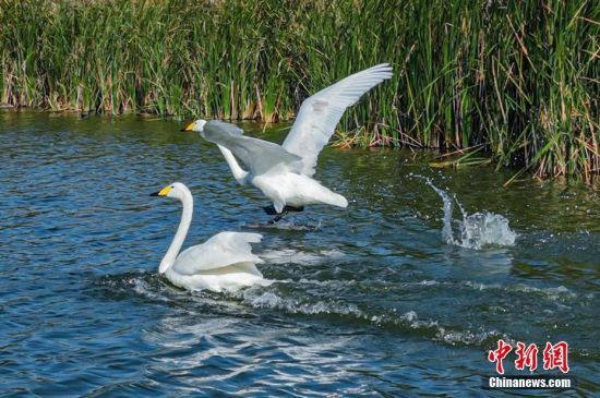 sОԽZIõėϢh(hun)ԽĴZˮB