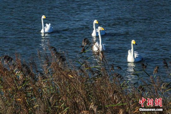 sǁĴZԽϢ֮һBwƵҪD(zhun)վԽϢء