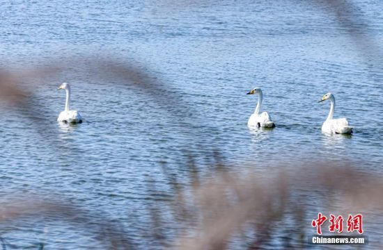 ĿǰsɴZҼȻo^(q)ø헜ʂ_Zڴ˰ȫԽ