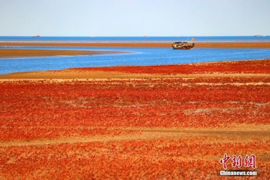 ɽ||II䁝Mt̺r(ji)S޵؅^(q)صȻֲAݵһGĕṛttdӟoH