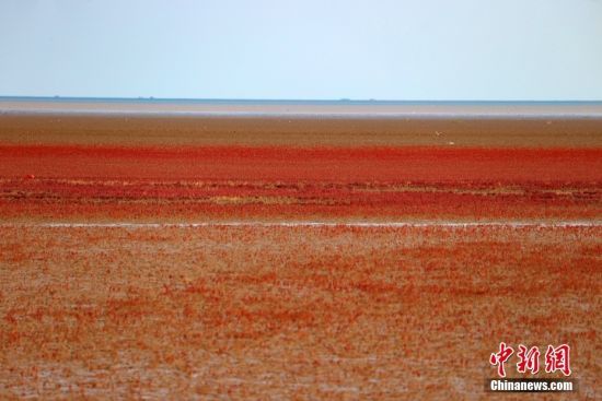 ɽ||II䁝Mt̺r(ji)S޵؅^(q)صȻֲAݵһGĕrttdӟoH