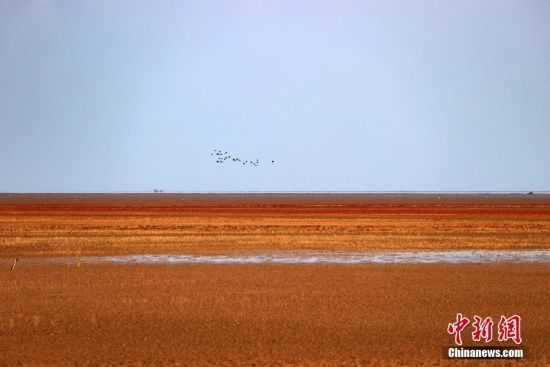 ɽ||II䁝Mt̺r(ji)S޵؅^(q)صȻֲAݵһGĕrttdӟoH