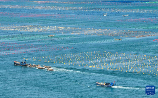  1011ژsАۂB(ti)B(yng)ֳ^(q)O{OI(y)o˙C(j)Ƭ