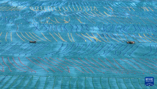  1011գژsАۂB(ti)B(yng)ֳ^(q)O{OI(y)o˙C(j)Ƭ