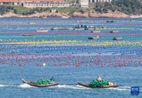  1011ژsАۂB(ti)B(yng)ֳ^(q)O{OI(y)