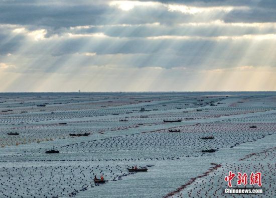 1113գɽ|ʡsٵu(zhn)ٵuB(yng)ֳ˂{O_չa(chn)I(y)ʬF(xin)һ՝ODo˙CƬ