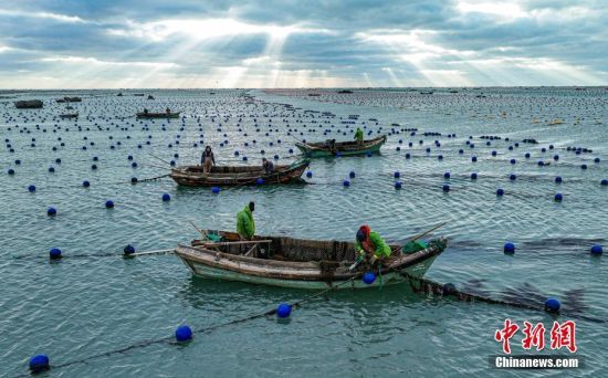 1113ɽ|ʡsٵu(zhn)ٵuB(yng)ֳ˂{O_չa(chn)I(y)ʬF(xin)һ՝ODo˙CƬ