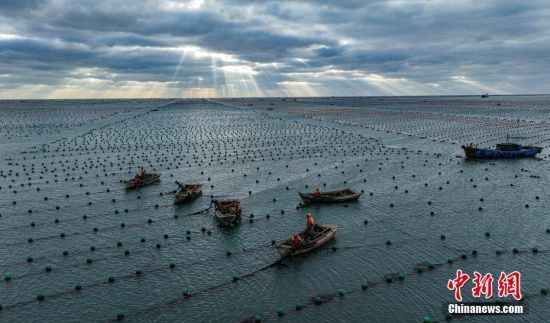 1113ɽ|ʡsٵu(zhn)ٵuB(yng)ֳ˂{O_չa(chn)I(y)ʬF(xin)һ՝ODo˙CƬ