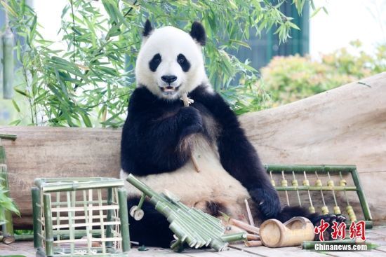 526ɽ|؈żáյ⡱ɽ|τ@؈żӭ10ܚq@ˆTĜʂ䡰յ⡱c