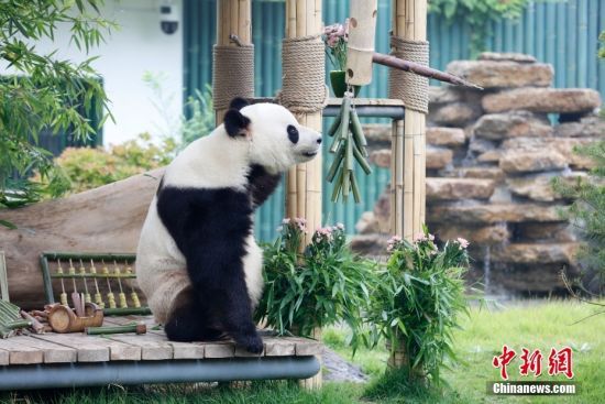 526ɽ|؈żáյ⡱գɽ|τ@؈żӭ10ܚq@ˆTĜʂ䡰յ⡱c