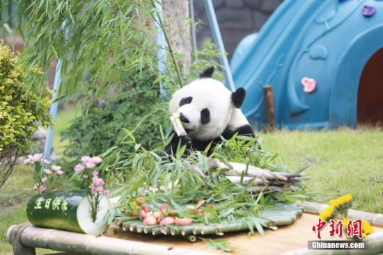 526ɽ|؈żáյ⡱ɽ|τ@؈żӭ10ܚq@ˆTĜʂ䡰յ⡱c