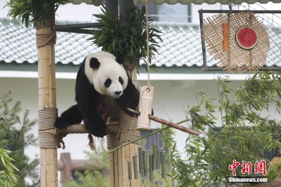 526ɽ|؈żáյ⡱գɽ|τ@؈żӭ10ܚqգ@ˆTĜʂ䡰յ⡱c