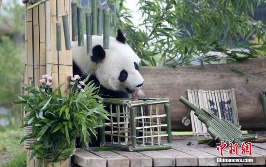 526ɽ|؈żáյ⡱ɽ|τ@؈żӭ10ܚqգ@ˆTĜʂ䡰յ⡱c