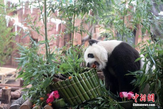 714؈AW17qմ͡(dng)ɽ|τ@؈AWӭ17qգB(yng)T(zhn)Ƶմ͹