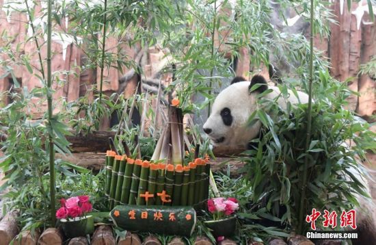 714؈AW17qմ͡(dng)ɽ|τ@؈AWӭ17qB(yng)T(zhn)Ƶմ͹á