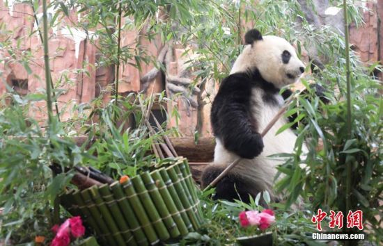 714գ؈AW17qմ(dng)ɽ|τ@؈AWӭ17qգB(yng)T(zhn)Ƶմ͹