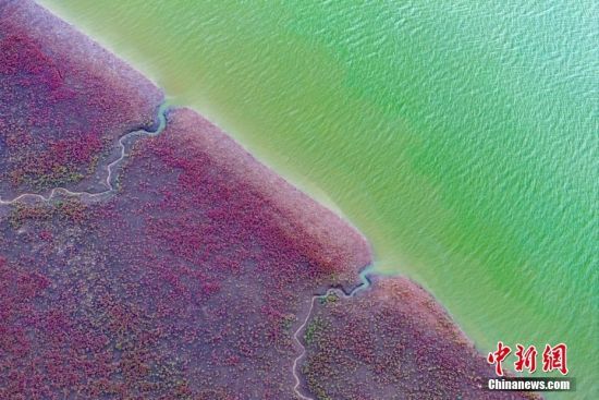 202481ɽ|u^(q)tʯ½ֵ˵ӿڼtɫ@ƬĉAɫntG