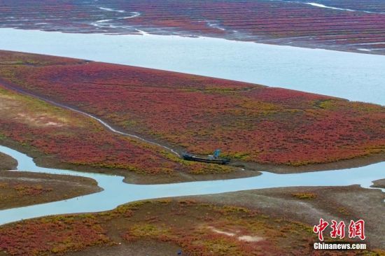 202481ɽ|u^(q)tʯ½ֵ˵ӿڼtɫ@ƬĉAɫntG