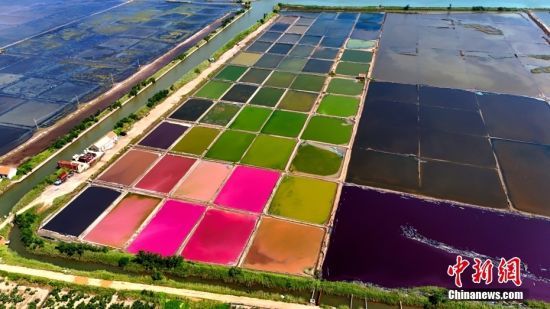 2024731ɽ|ʡsУڸ(zhn)ꖸĔz_}