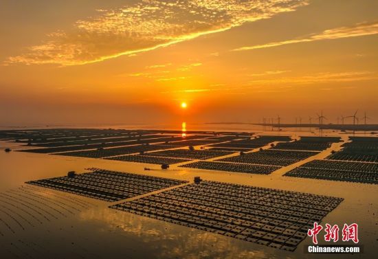 814ɽ|ʡsɣϞ(chng)ڳϼӳr(gu)һO(hu)(li)(dng)?sh)m˺O(sh)(chng)eO̽ƼdB(yng)dOİl(f)չ֮·(o(w)˙C(j)Ƭ)