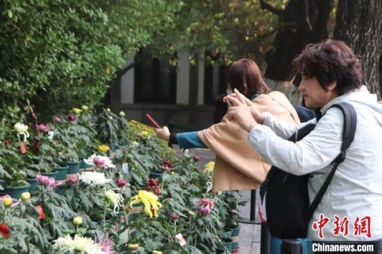 1029ɽ|(j)ϣο[ͻȪĔzջ1026ա112445ͻȪչչ6fջͻȪʢšӛ  z