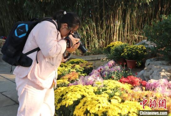 1029ɽ|(j)ο[ͻȪĔzջ1026ա112445ͻȪչչ6fջͻȪʢӛ  z